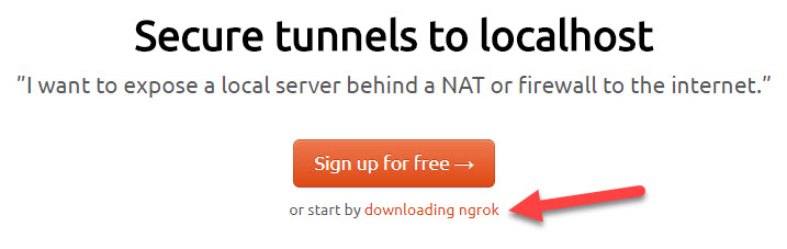Download ngrok