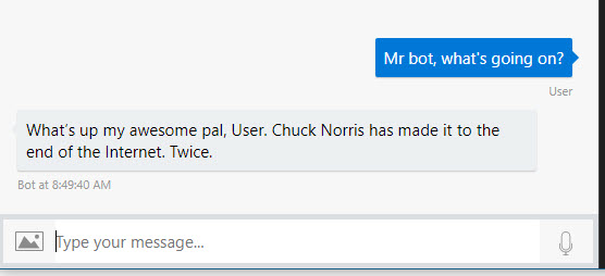 Bot Framework in action, showing the reply of Chuck Norris