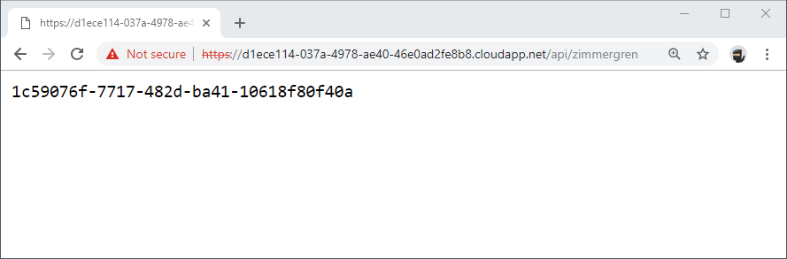 2019-03-14-10_37_10-https___d1ece114-037a-4978-ae40-46e0ad2fe8b8.cloudapp.net_api_zimmergren