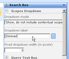 customsearchpagescope6
